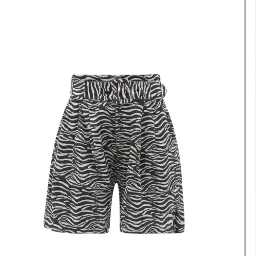 Solid And Striped Zebra Print Shorts With Belt - image 2